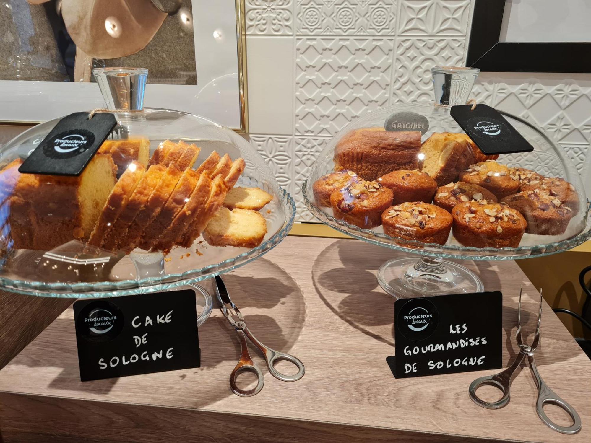 Brit Hotel Orleans St Jean De Braye - L'Antares Saint-Jean-de-Braye Zewnętrze zdjęcie